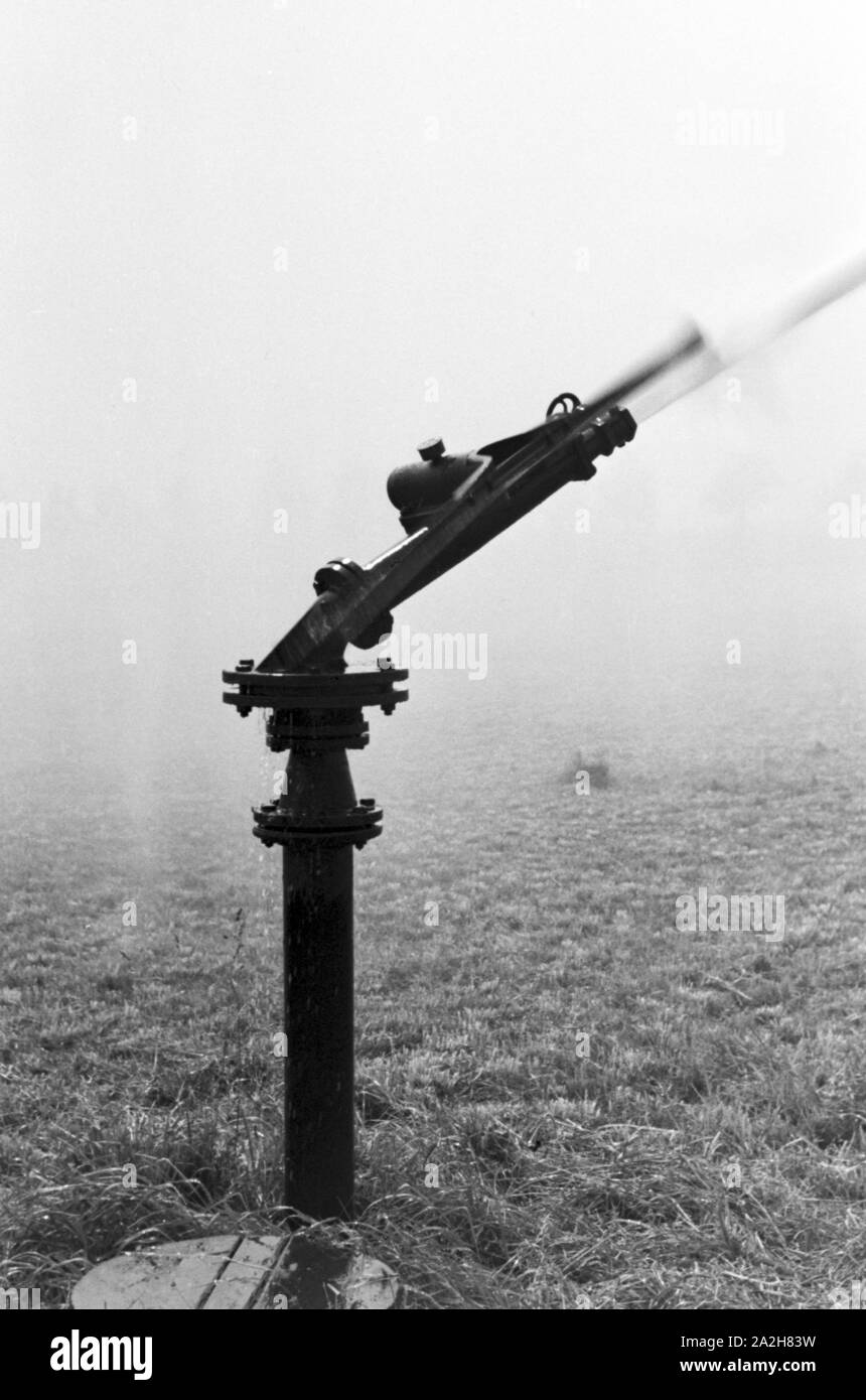 Eine Regenanlage landwirtschaftlichen im Einsatz bei einem Kartoffelacker, Deutschland 1930er Jahre. Un impianto sprinkler nel suo uso agricolo a un campo di patate, Germania 1930s. Foto Stock