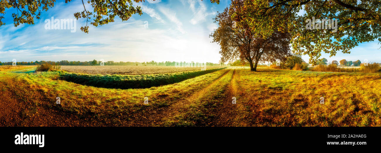 Panorama einer idyllischen Landschaft im Herbst im Licht der Morgensonne Foto Stock