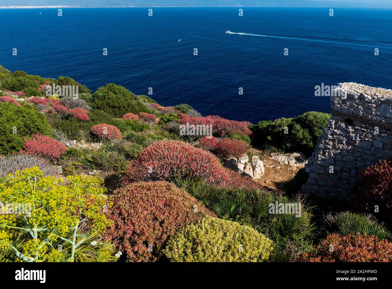 Porto Conte Foto Stock