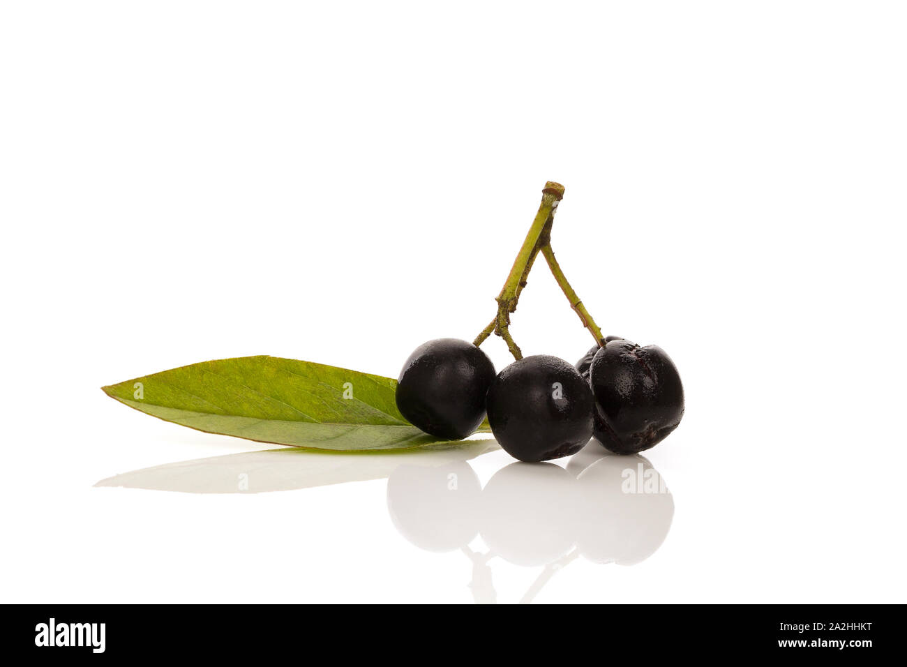 Chokeberry freschi frutti con foglie isolati su sfondo bianco. Foto Stock