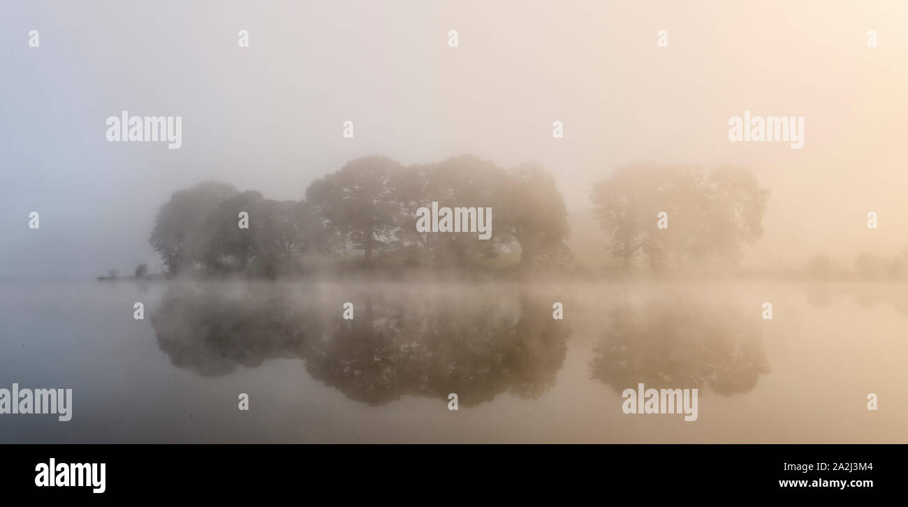 Di prima mattina nebbia autunnale su Esthwaite acqua vicino Hawkshead Foto Stock