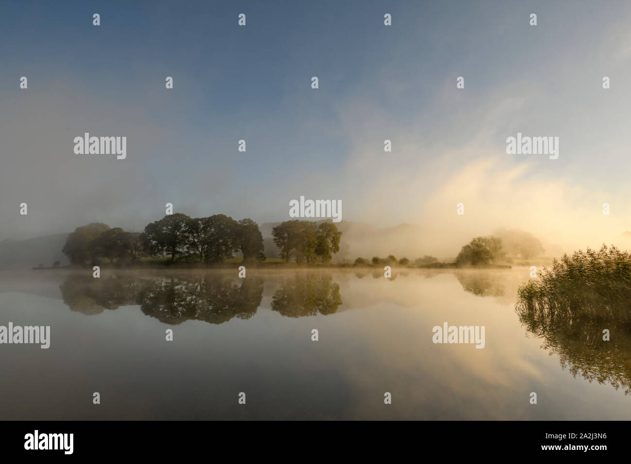 Alberi riflessa in acqua Esthwaite vicino Hawkshead come la luce del sole si rompe attraverso la mattina nebbia autunnale Foto Stock