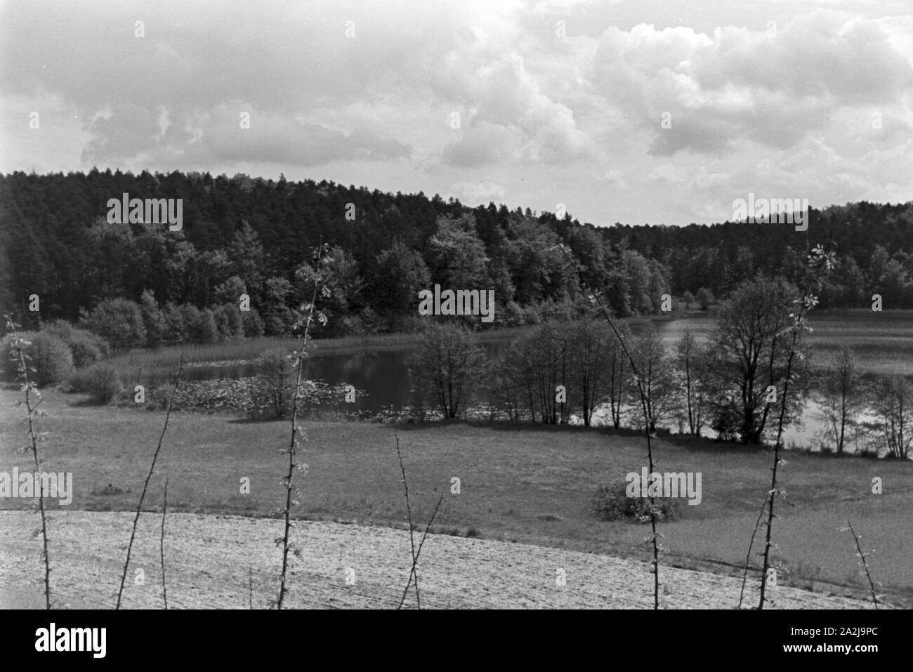 Ein Ausflug ins Schlaubetal, Deutsches Reich 1930er Jahre. Un viaggio a Schlaubetal, Germania 1930s. Foto Stock