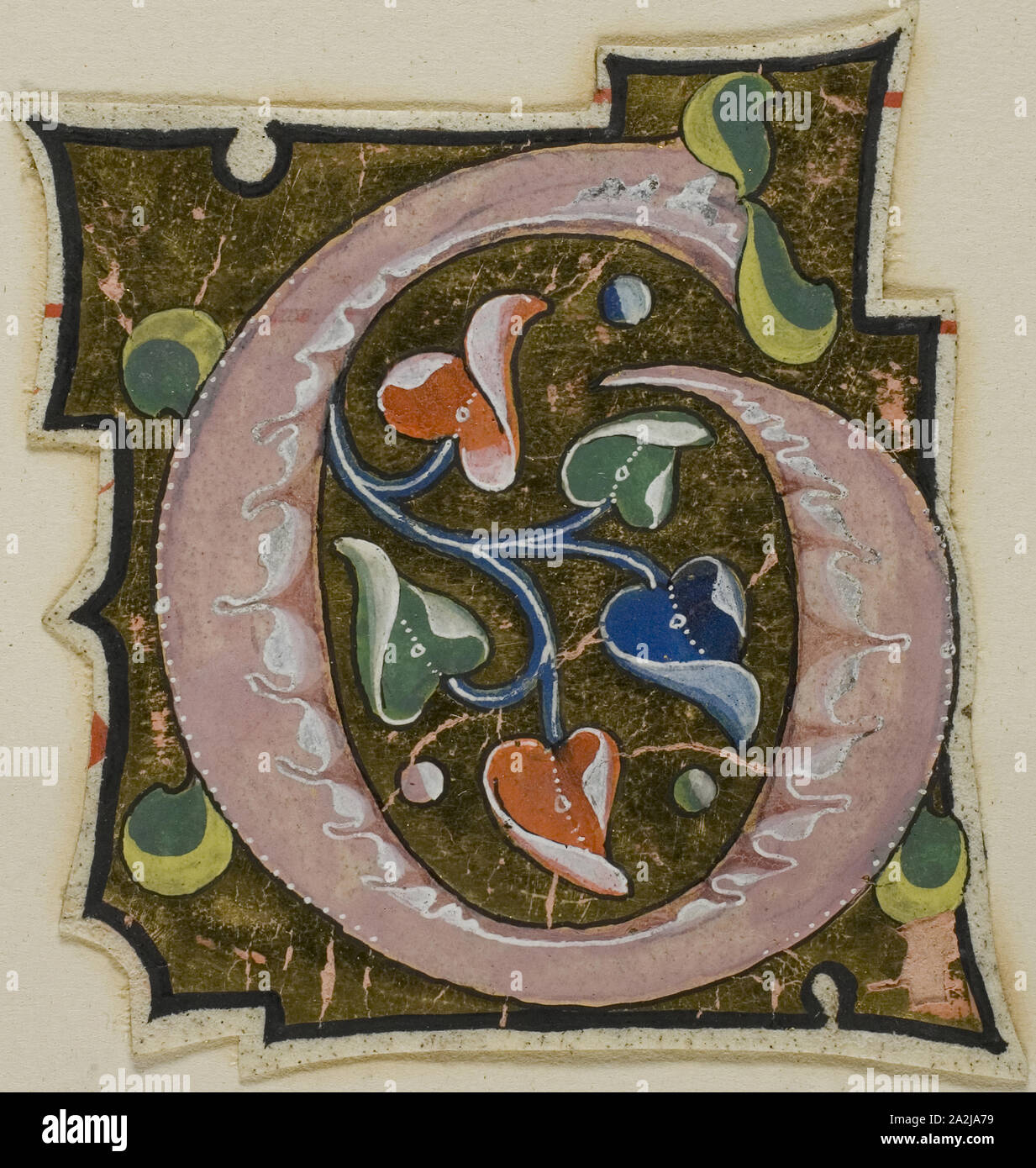 Decorate iniziale G in rosa con foglie di Curling da un manoscritto, xiv secolo o moderne, c. 1920, Europeo, Europa, Manoscritto del taglio di tempera e foglia oro su pergamena, 54 × 62 mm Foto Stock