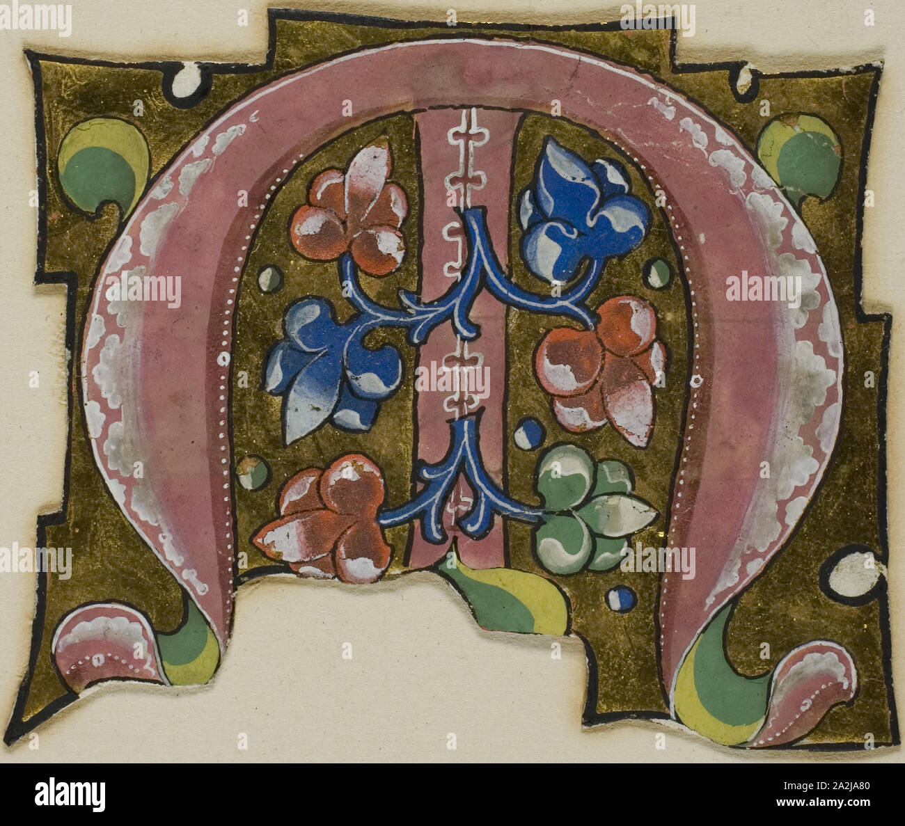 Decorate M iniziale in rosa con foglie convenzionale da un coro libro XIV secolo o moderne, c. 1920, Europeo, Europa, Manoscritto del taglio di tempera e foglia oro su pergamena, 70 × 57 mm Foto Stock