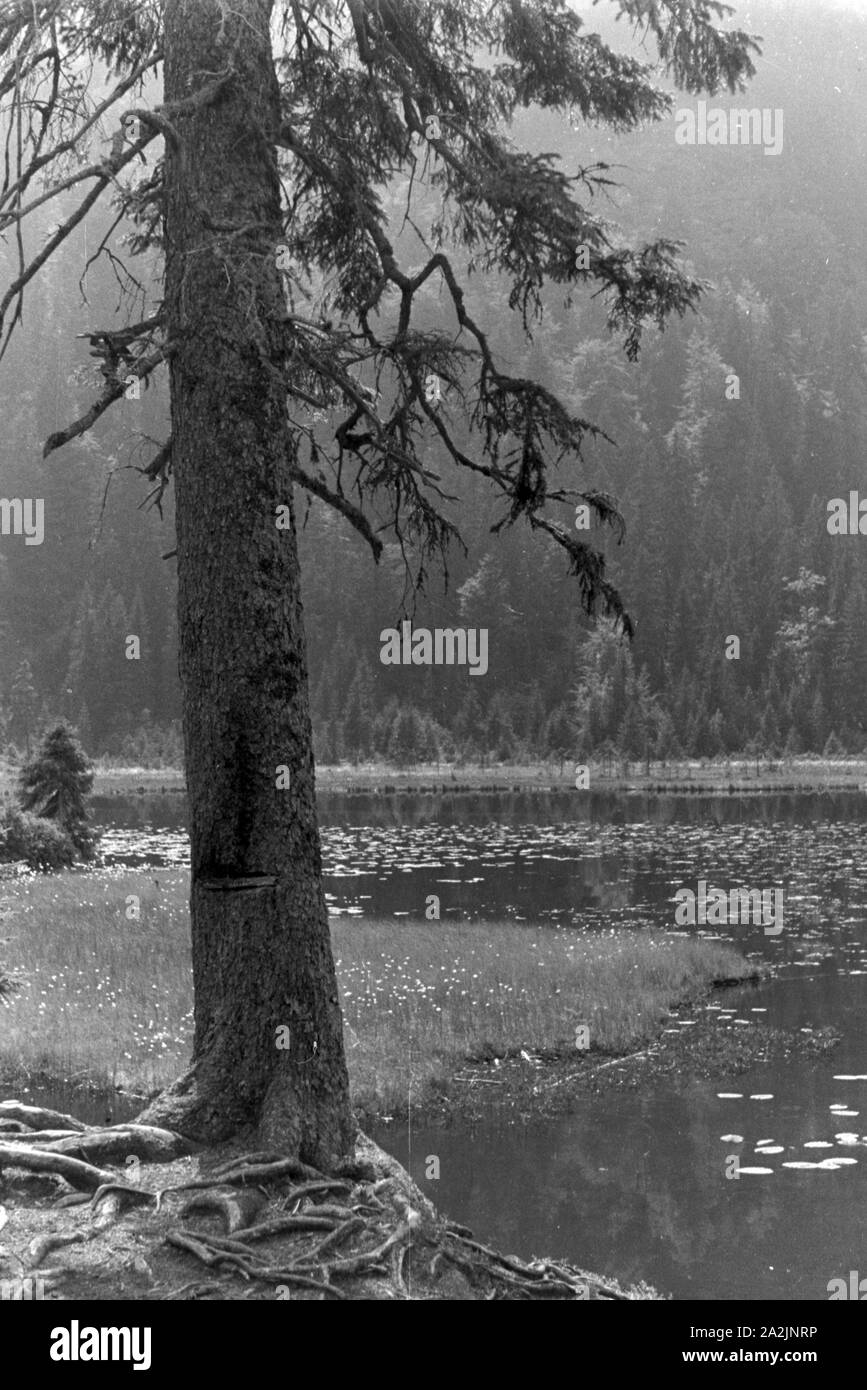 Erholung im Böhmerwald, Deutsches Reich 1930er Jahre. Recupero nella foresta Boema, Germania 1930s. Foto Stock