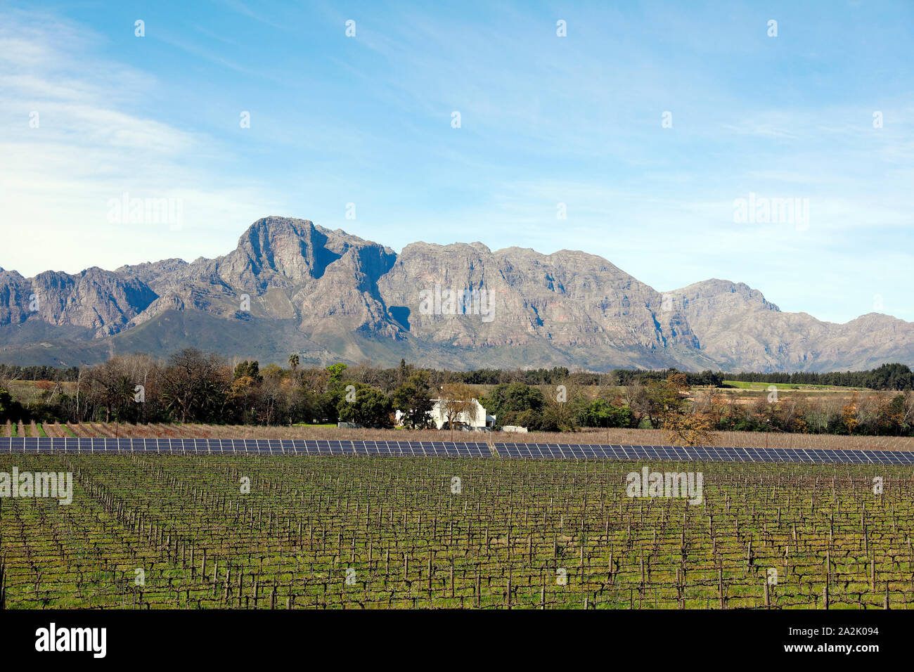 Impianto solare su Vrede en Lust azienda vinicola , Franschhoek valley, Sud Africa. Foto Stock