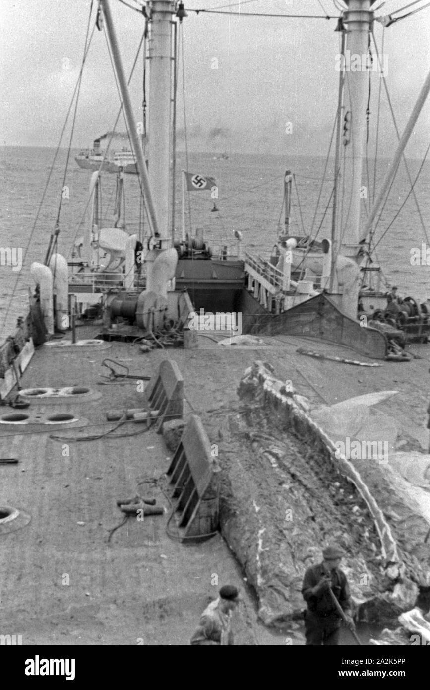 Ein Schiff der deutschen Walfangflotte Eismeer im in der Arktis Mit einem ausgeschlachteten Kadaver an Bord, 1930er Jahre. Una nave tedesca di flotta baleniera nel mare Artico con una balena la carcassa a bordo, 1930s. Foto Stock