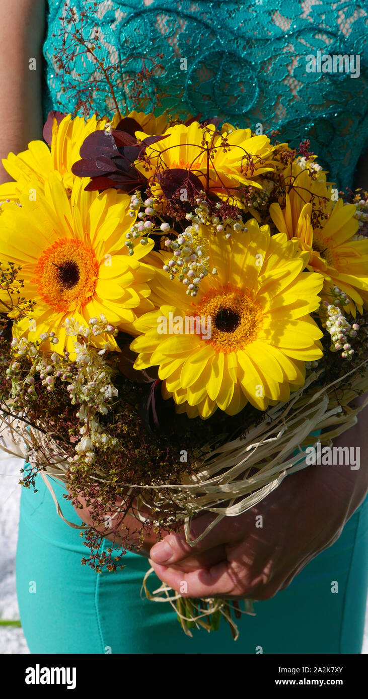 Una ragazza in un abito verde tiene un mazzo di fiori di giallo Gerber - close up Foto Stock