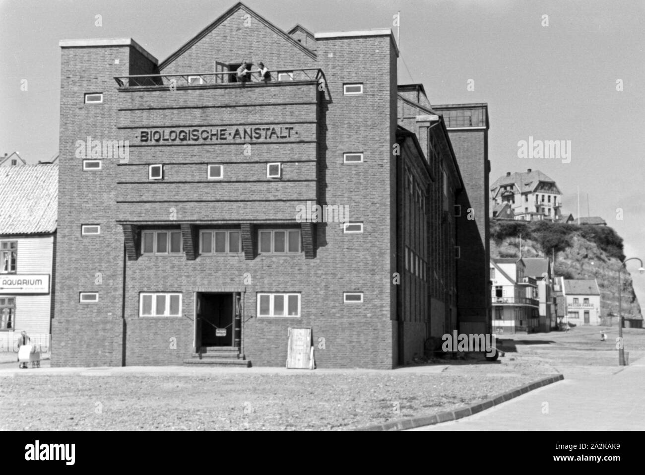 Die Biologische Anstalt Helgoland, Deutschland 1930er Jahre. Biologische Anstalt, Istituto per la ricerca biologica presso l'isola di Helgoland, Germania 1930s. Foto Stock