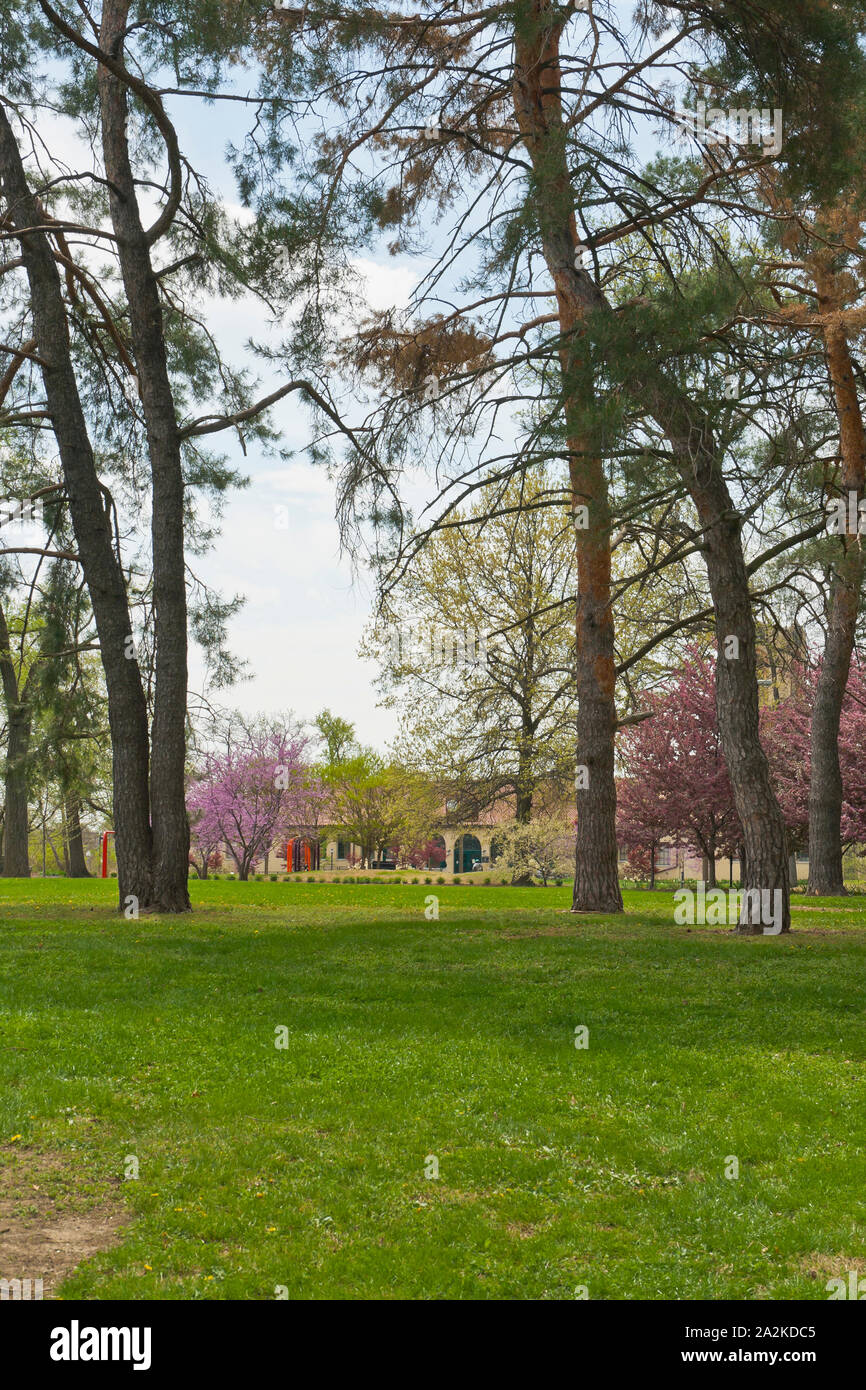 Vista verso il centro visitatori con redbud crabapple e alberi in fiore primavera a San Louis Forest Park e dal vicino Lindell & DeBaliviere. Foto Stock