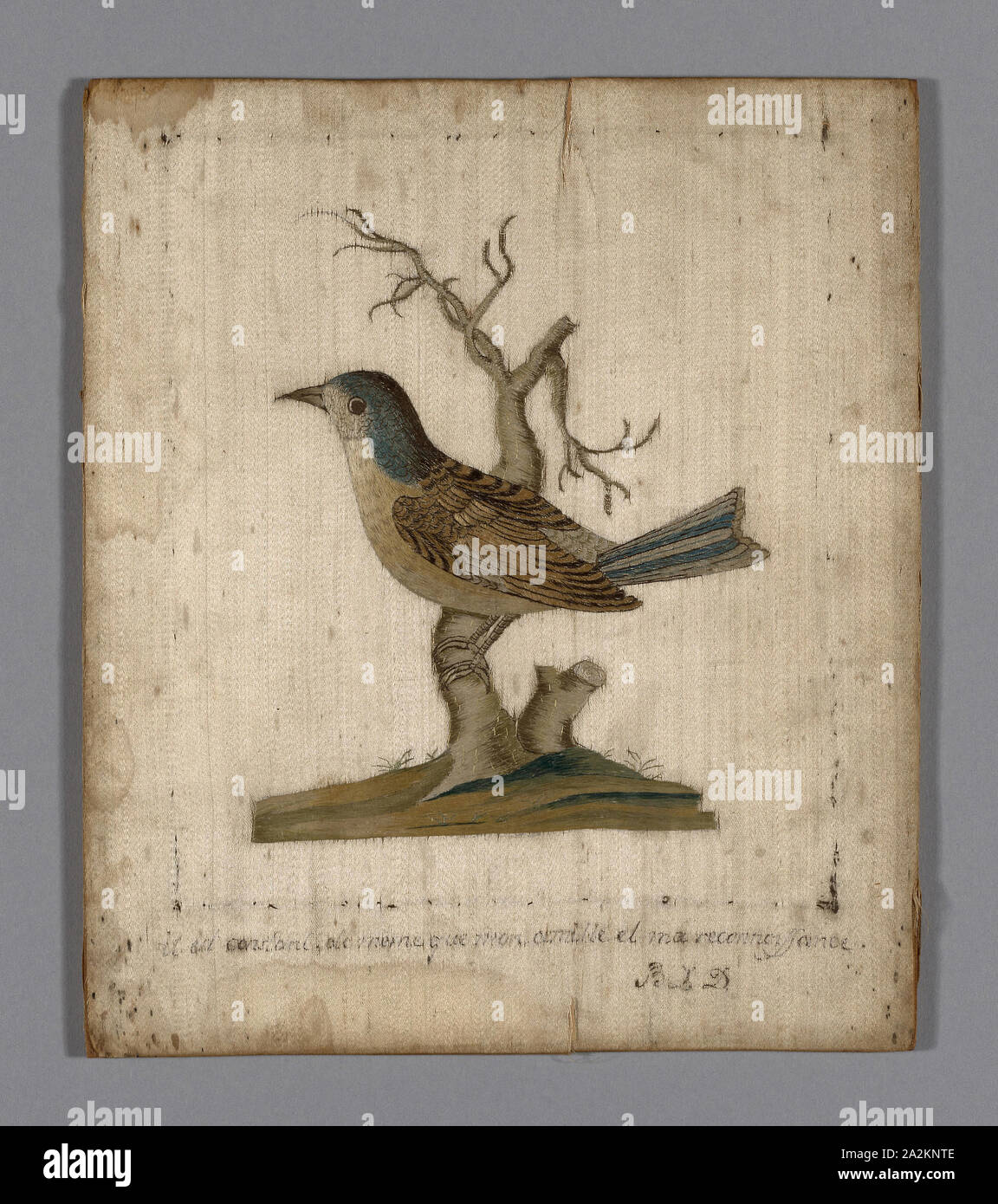 Immagine di un uccello, XVIII secolo, Francia, seta, raso, ricamati con fili di seta in raso e stelo maglie, adagiandosi, 22,2 19 cm (8 3/4 x 7 1/2 in Foto Stock