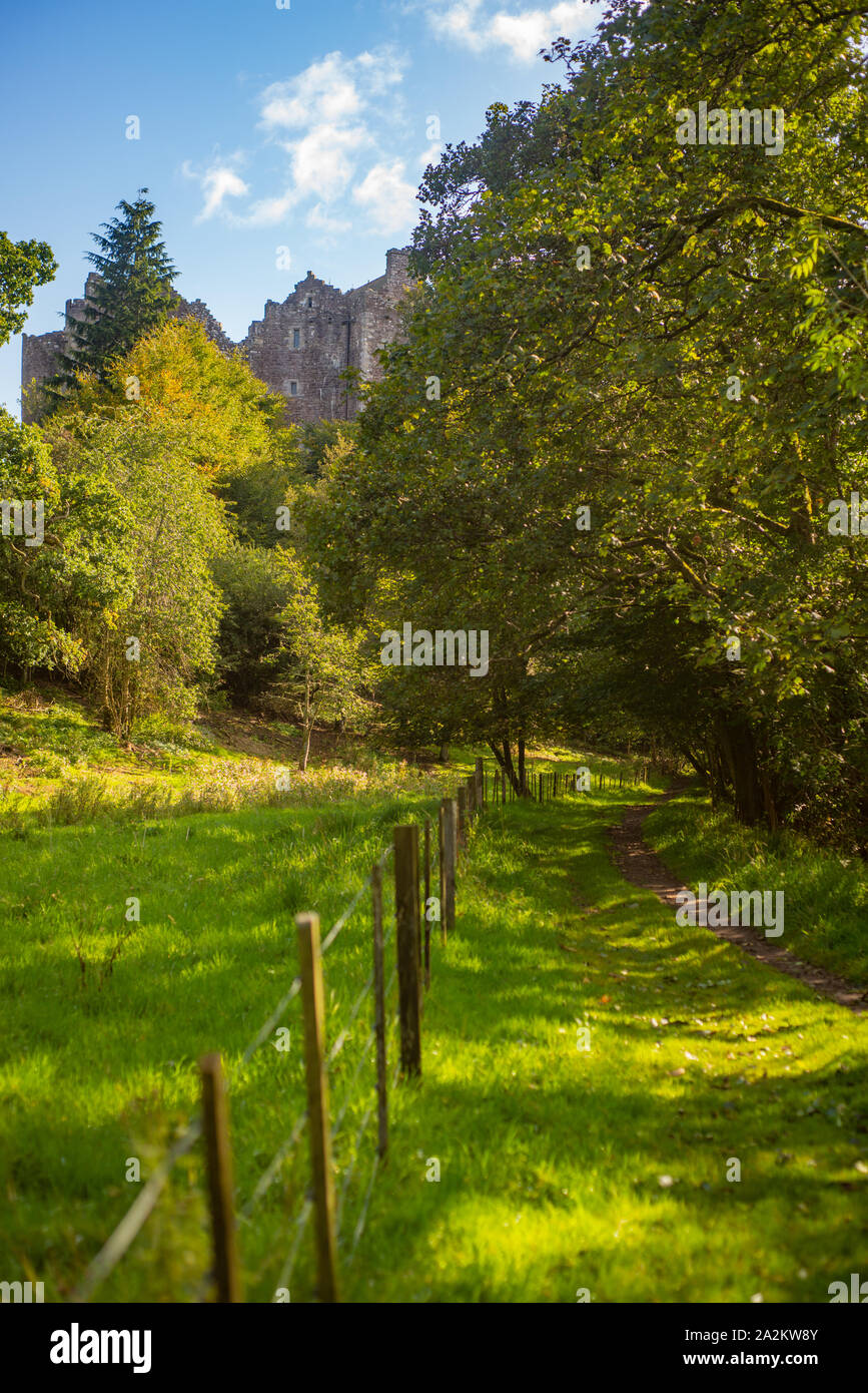 Tree percorso coperto conduce attraverso la natura di un castello in Scozia Foto Stock