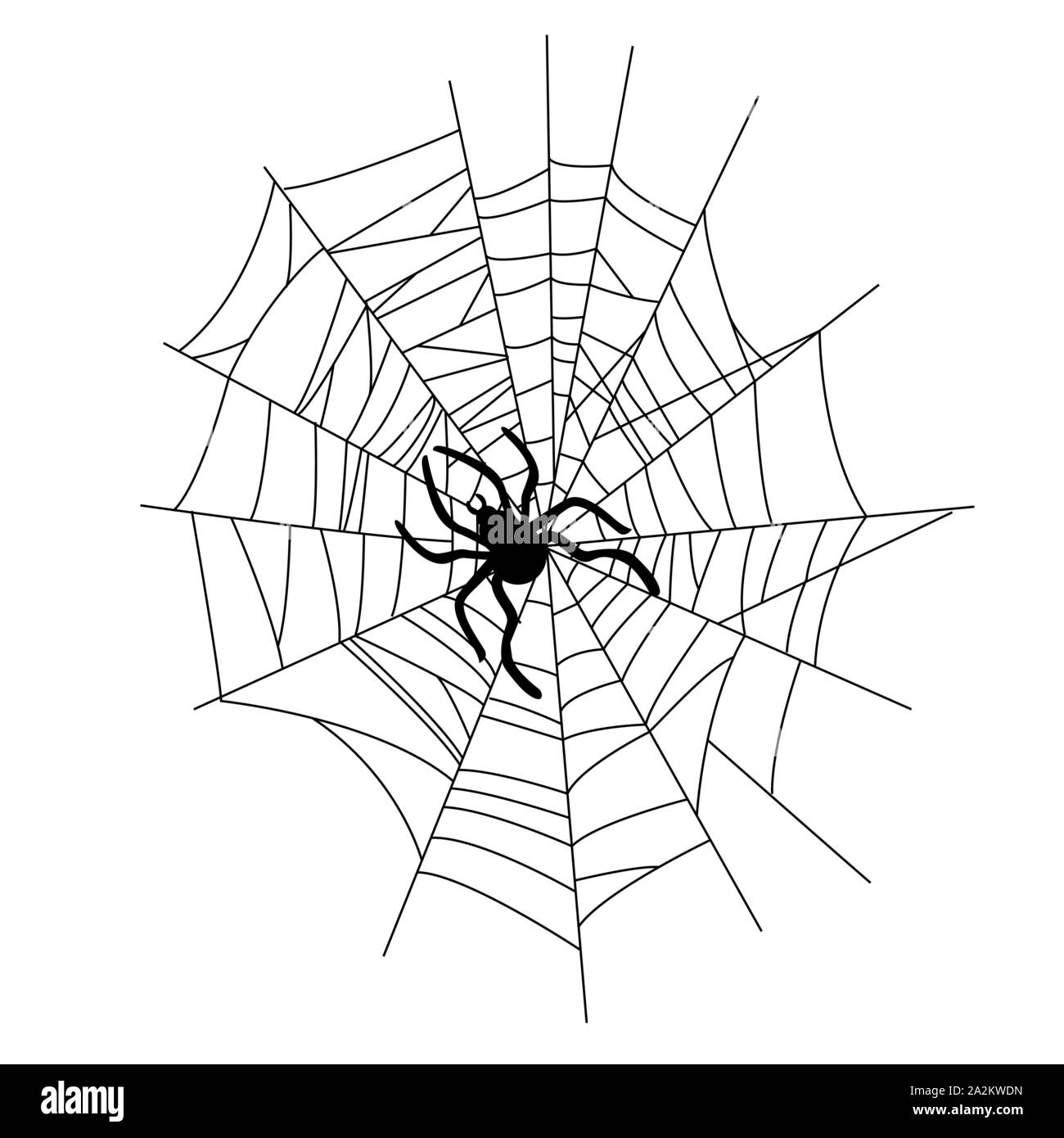 Set di spider web di forme differenti con ragni nero isolato Illustrazione Vettoriale