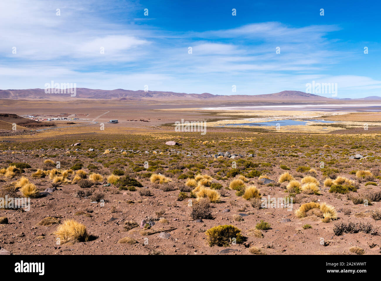 Modo attraverso le Ande dalla città argentina di susuqes alla comunità cilena di Jama a San Pedro de Atacama, Repubblica del Cile America Latina Foto Stock