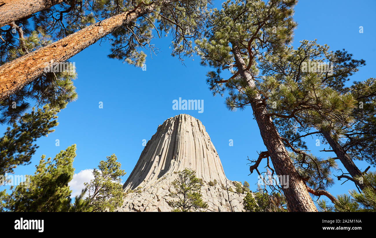 Devils Tower, un laccolith butte composto di roccia ignea al Bear Lodge montagne, top attrazione per lo stato del Wyoming, STATI UNITI D'AMERICA. Foto Stock