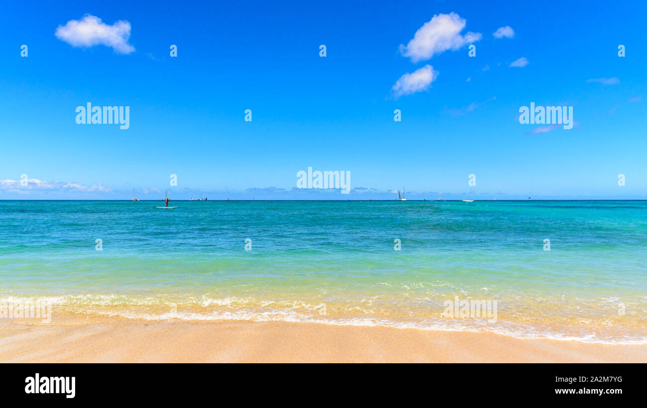 Colorato a riva di una spiaggia tropicale. La sabbia è di colore giallo dorato e il mare id una chiara aqua blue. La spiaggia si trova a Waikiki Beach, Hawaii Foto Stock