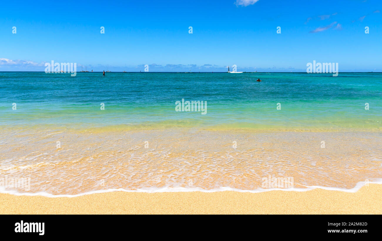 Colorato a riva di una spiaggia tropicale. La sabbia è di colore giallo dorato e il mare id una chiara aqua blue. La spiaggia si trova a Waikiki Beach, Hawaii Foto Stock