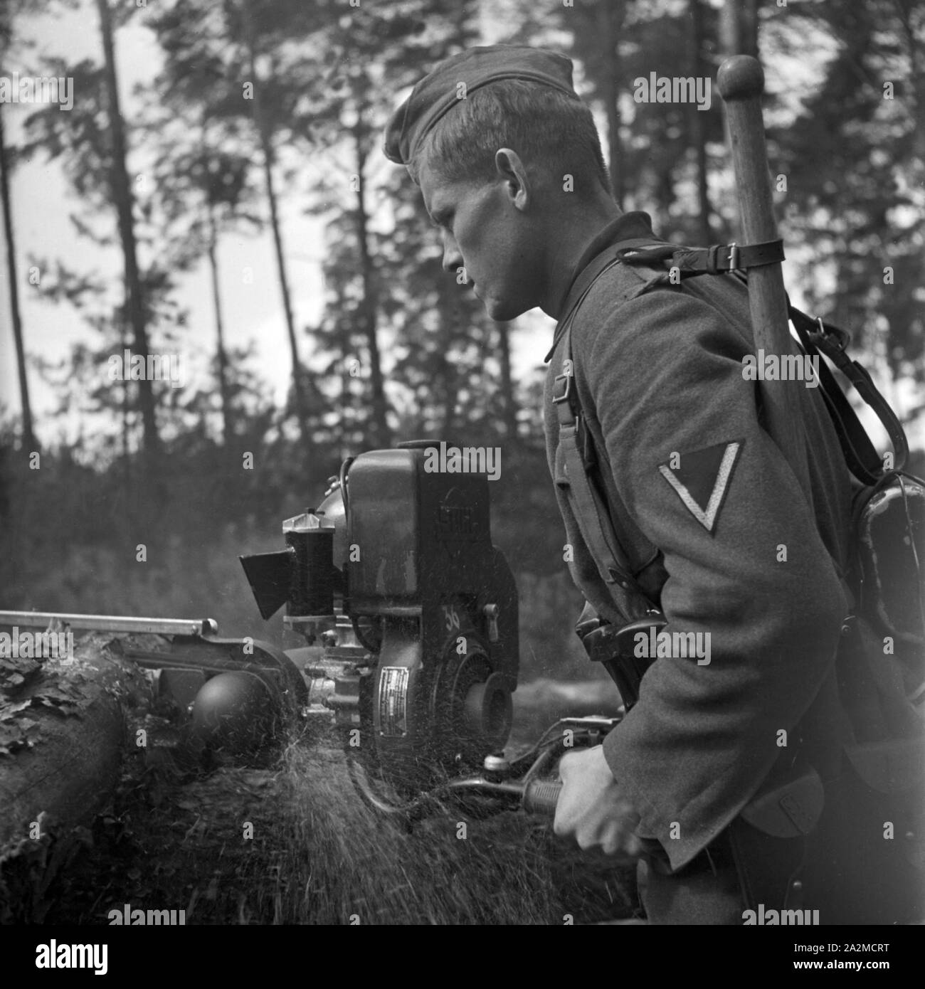 Original-Bildunterschrift: Bei der Arbeit mit der Kraftsäge - mit diesem Gerät modernen werden Stämme in Sekunden zerlegt, Deutschland 1940er Jahre. Lavorando con un chainsaw: Con che attrezzature moderne di un tronco viene effettuata in pochi secondi, Germania 1940s. Foto Stock
