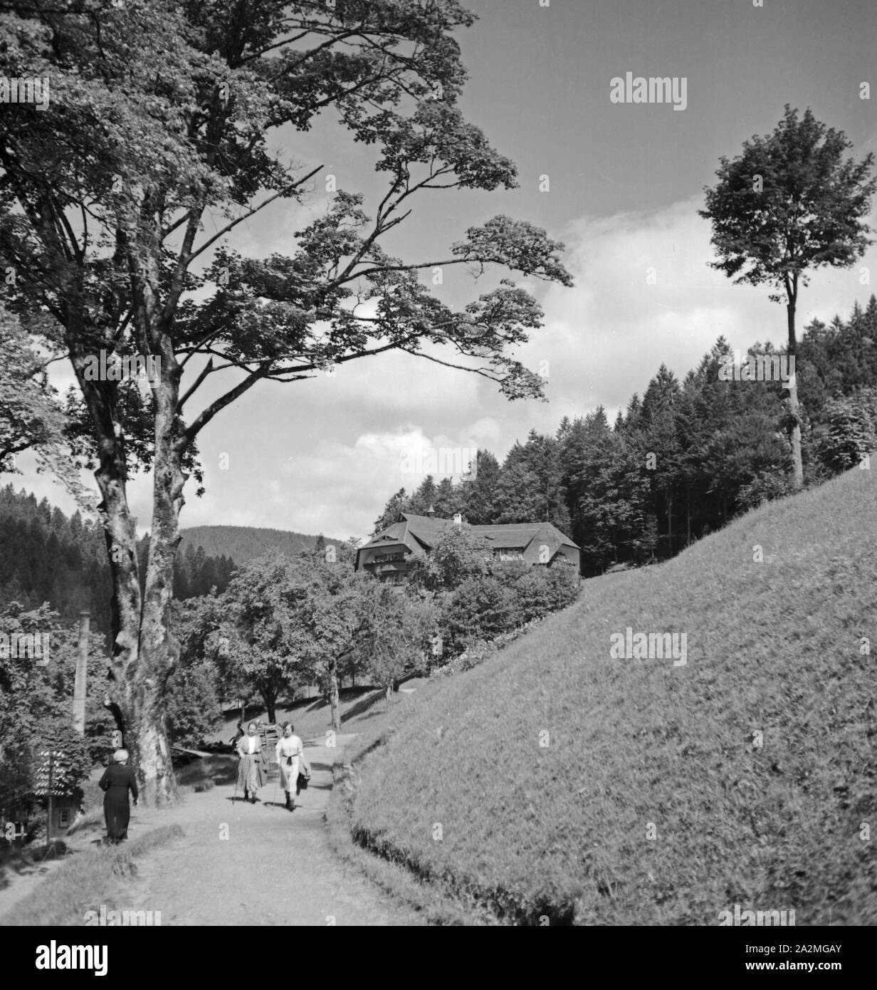 In und um den Luftkurort Bad Rippoldsau Schapbach im Schwarzwald, Deutschland 1930er Jahre. Presso il centro termale Bad Rippoldsau Schapbach nella regione della Foresta Nera, Germania 1930s. Foto Stock