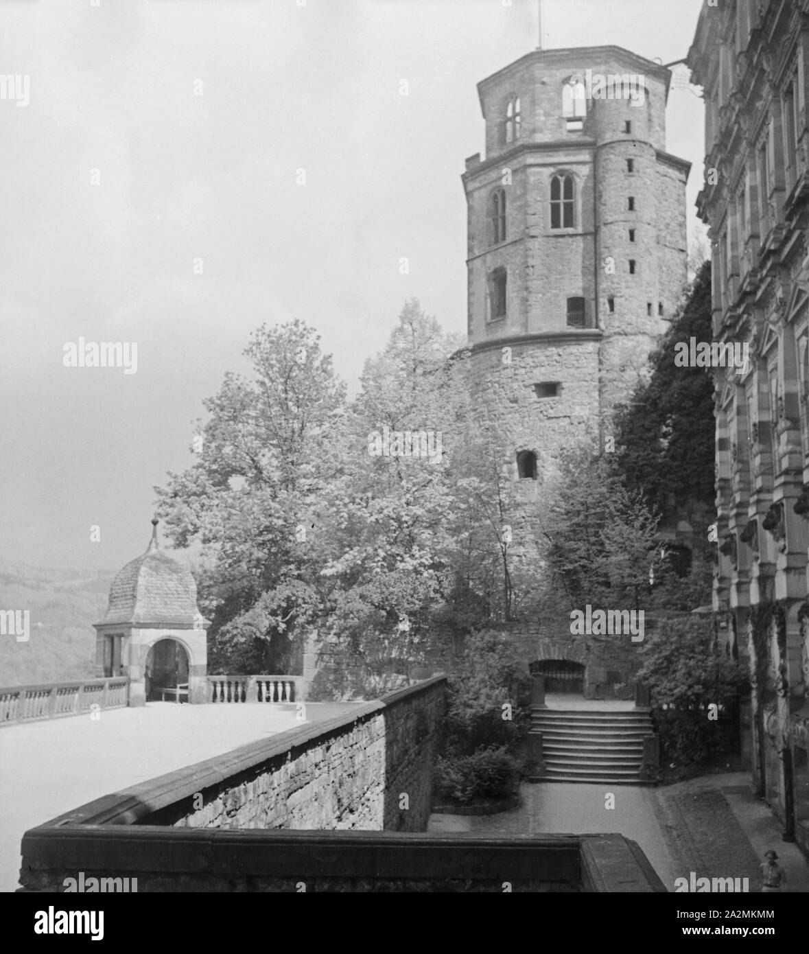 Im alten Schloss in Heidelberg am Neckar, Deutschland 1930er Jahre. Presso il vecchio castello di Heidelberg sul fiume Neckar, Germania 1930s. Foto Stock