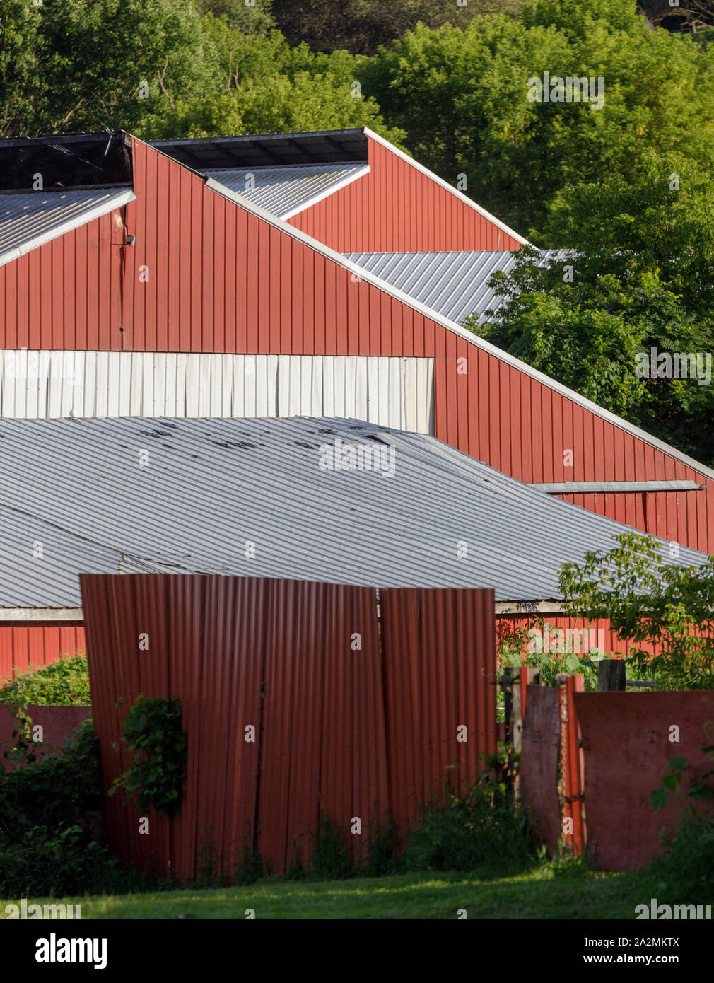 RED fienili, HERKIMER COUNTY, NELLO STATO DI NEW YORK, Stati Uniti d'America. Foto Stock