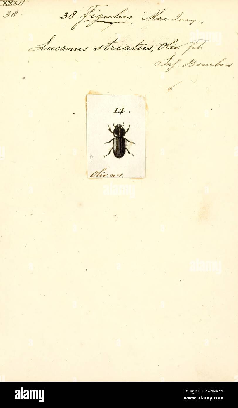 Figulo, stampa anche Varrone, benché ammaestrati in stoicismo Aelius Stilo e in scettico sul Platonismo antiochena, richiesto un pitagorico funebre per se stesso. Xix secolo storico Theodor Mommsen rispetto all'occulto interessi della tarda Repubblica al "spirito-rap e tablemoving" che ha affascinato "uomini di rango più elevato e più grande di apprendimento" nell'era Vittoriana Foto Stock