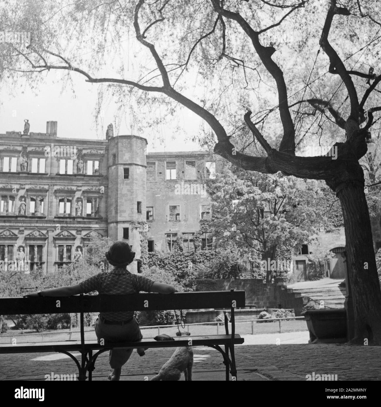 Eine Frau sitzt auf einer Bank vor dem Schloss in Heidelberg, Deutschland 1930er Jahre. Una donna seduta su una panchina nella parte anteriore del castello di Heidelberg, Germania 1930s. Foto Stock