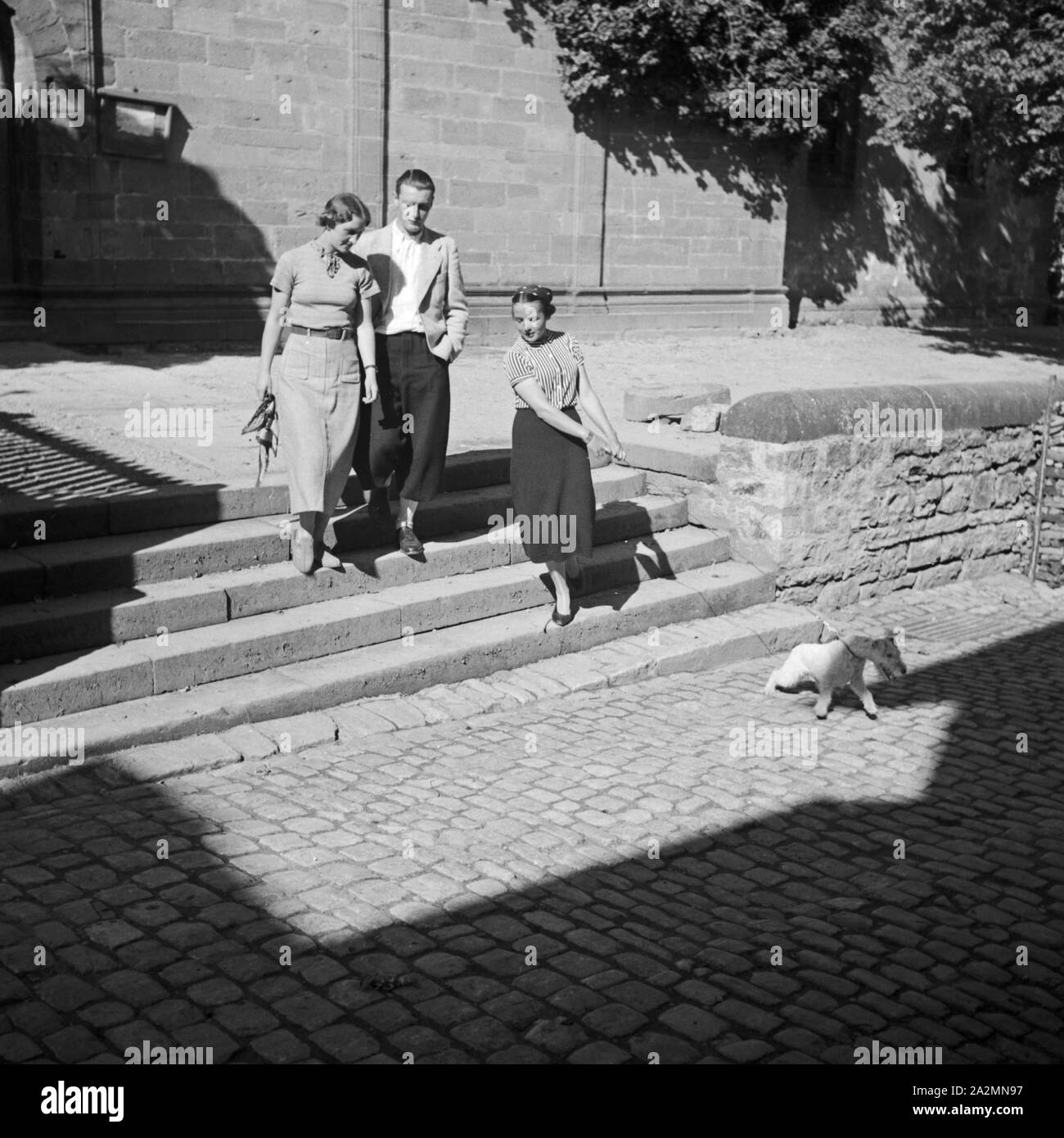 Zwei junge Frauen und ein Mann gehen mit dem Hund spazieren, Deutschland 1930er Jahre. Due giovani donne e un uomo passeggiate con il cane, Germania 1930s. Foto Stock