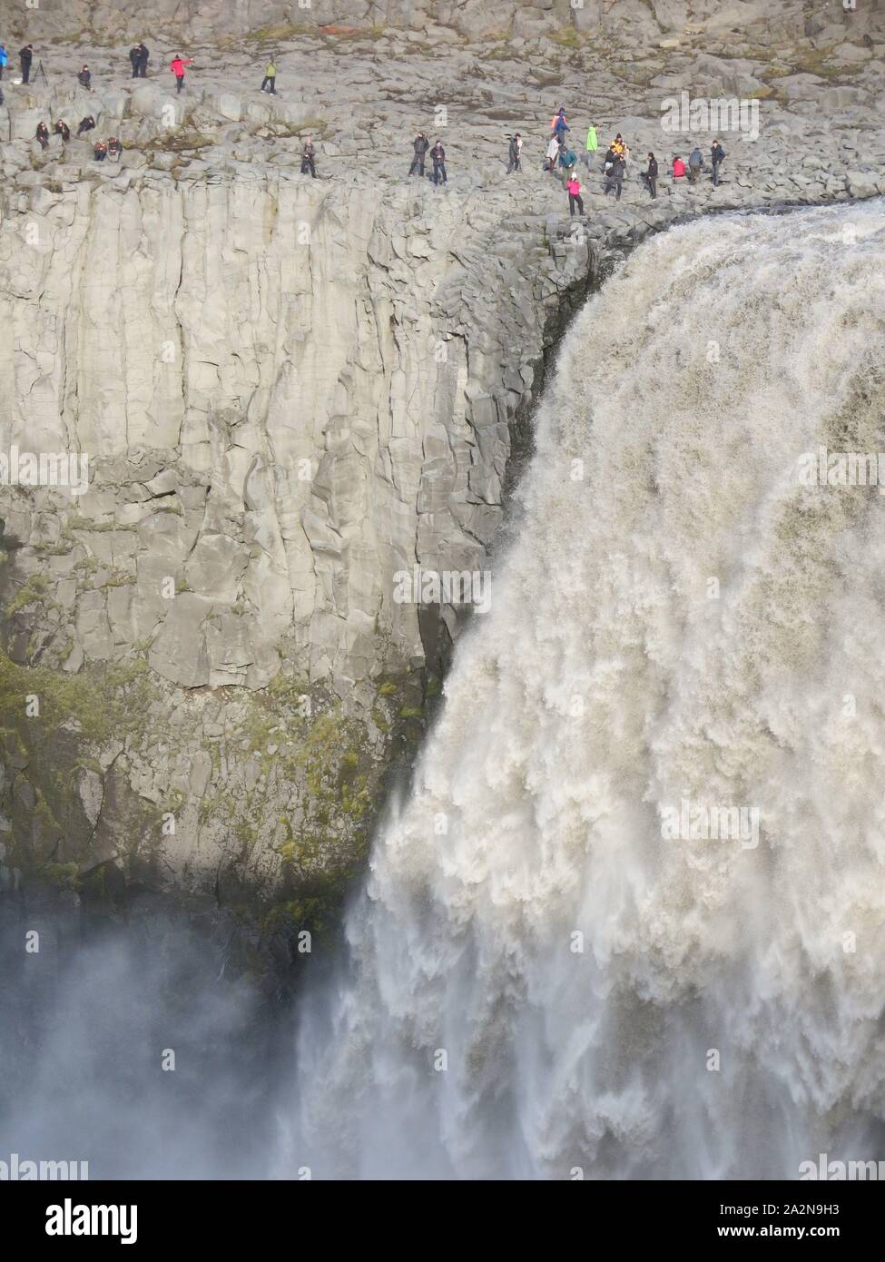 Fotografi gregge alle rocce basaltiche che al fianco di Islanda del più potente cascata di Dettifoss, con il suo torrente di acqua caduta 44m. Foto Stock
