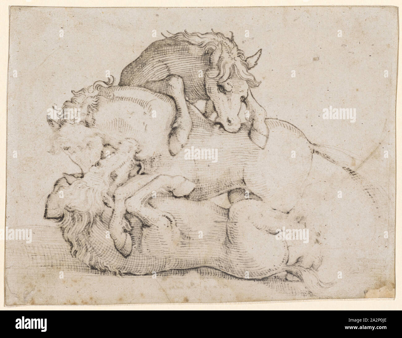 Tre combattimenti cavalli selvaggi, giù in nero, Copyspace, foglio: 13,4 x 17,5 cm, Unsigned, Hans Baldung gen. Grien, Schwäbisch Gmünd (?) 1484/85-1545 Strassburg Foto Stock