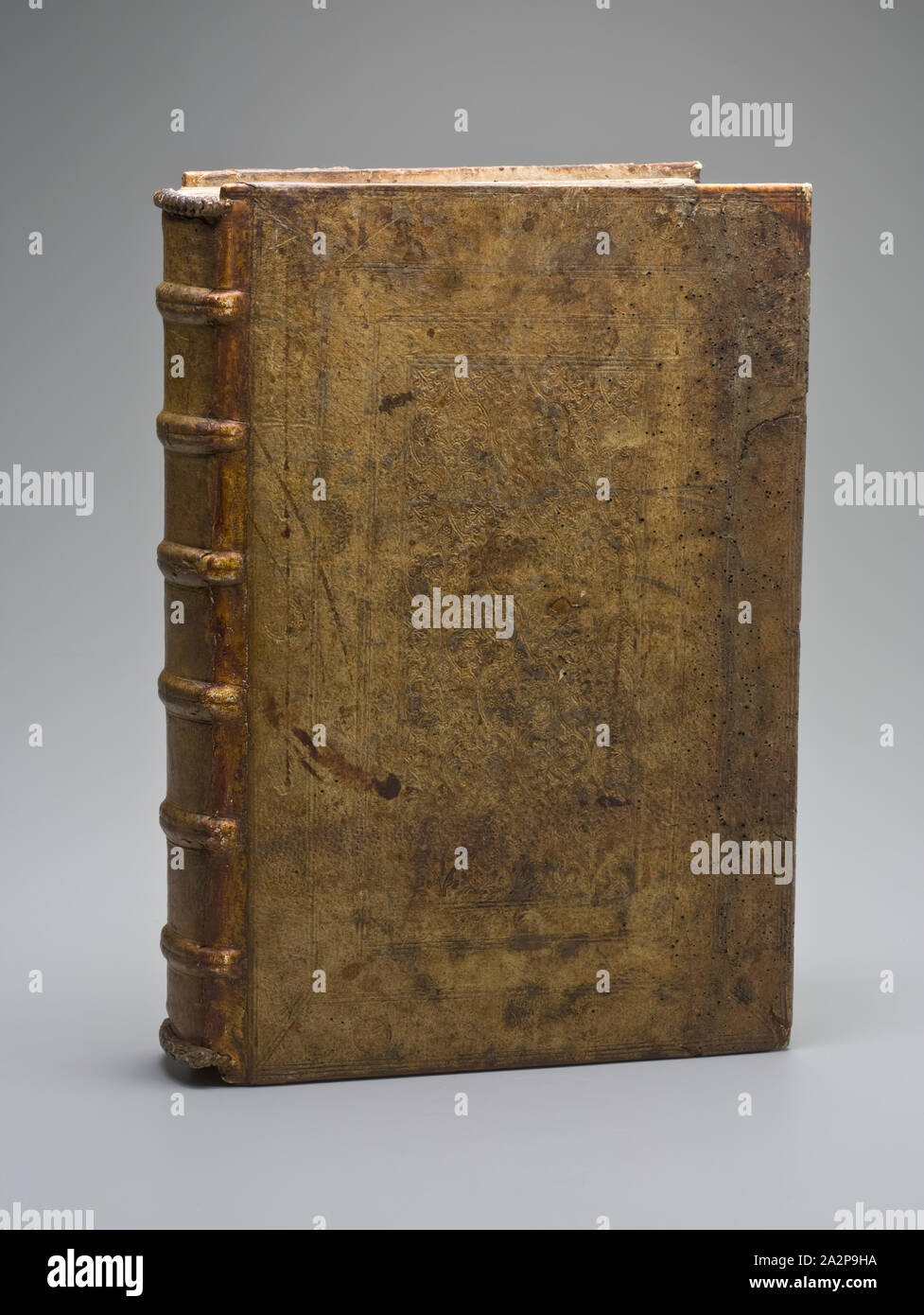 Wilhelm Pleydenwurff, Tedesco, 1494-1494, Michael Wohlgemut, Tedesco, 1434-1519, la cronaca di Norimberga, 1493, xilografie stampato in nero su carta vergata, pagina: 18 1/2 x 12 1/8 in. (47 x 30,8 cm Foto Stock