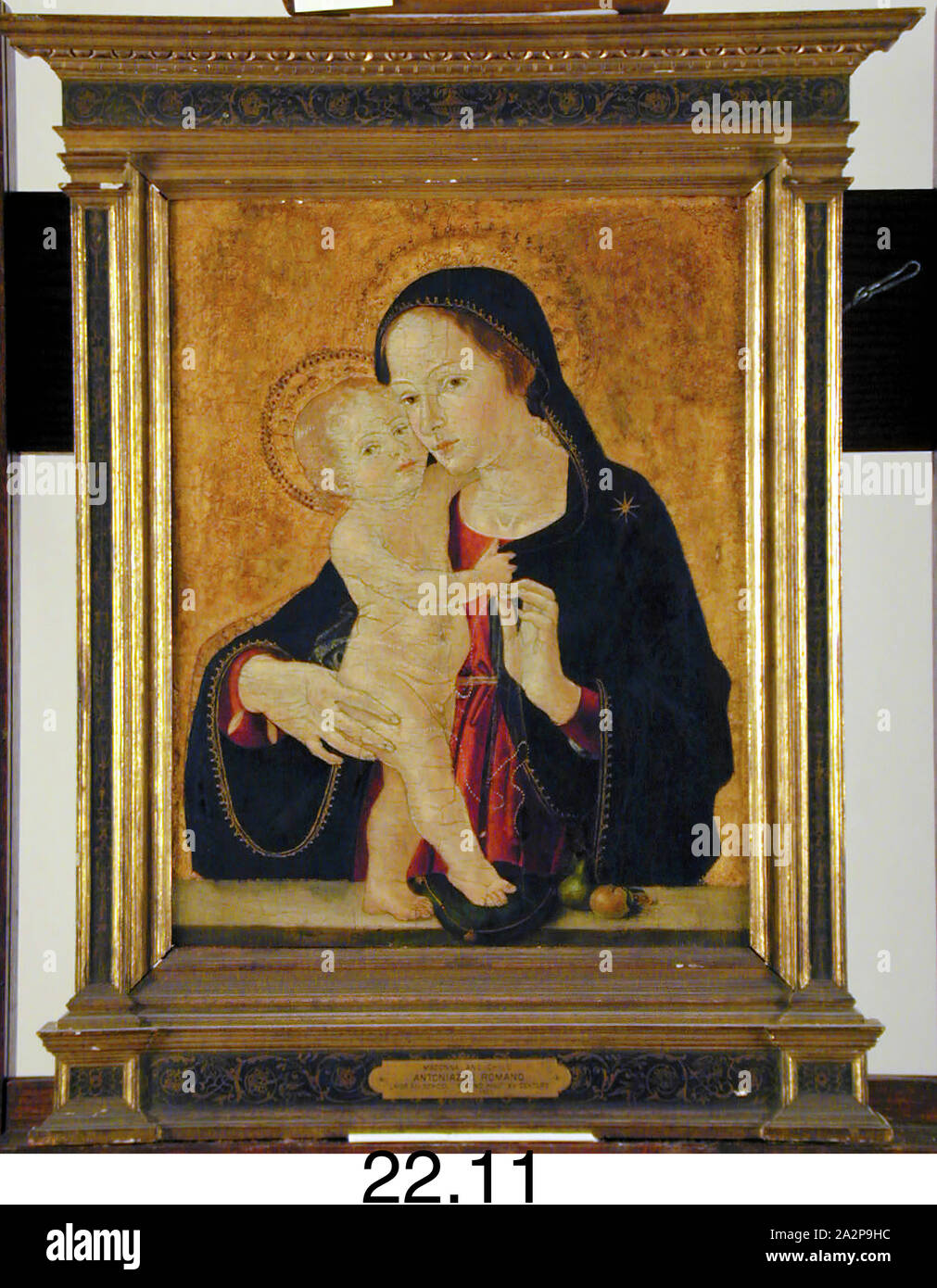 Antoniazzo Romano, italiano, la Madonna e il bambino, del XV secolo, dorate e tempera su pannello in legno, senza cornice: 16 3/8 × 13 3/8 pollici (41,6 × 34 cm Foto Stock Antoniazzo Romano, italiano, la Madonna e il bambino, del XV secolo, dorate e tempera su pannello in legno, senza cornice: 16 3/8 × 13 3/8 pollici (41,6 × 34 cm Foto Stock