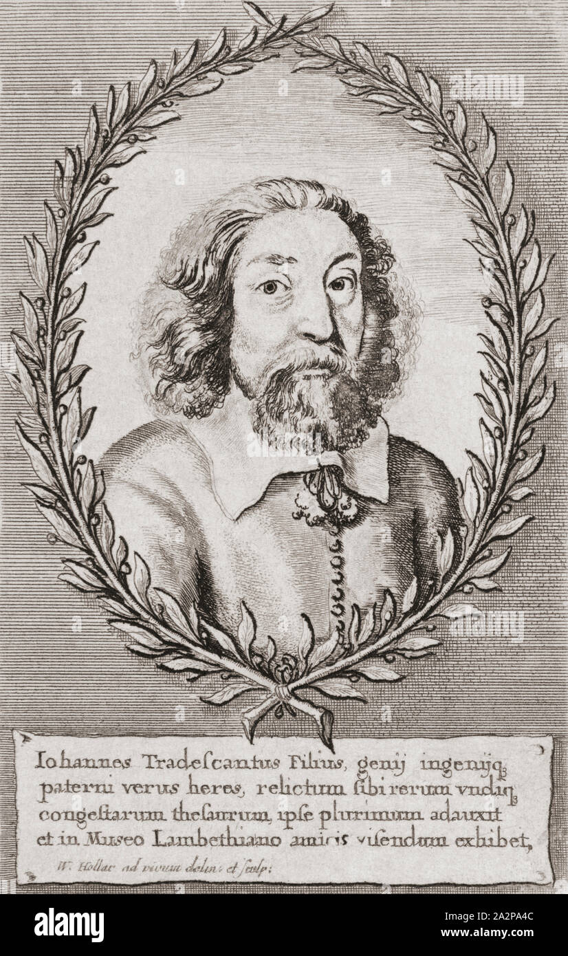 John Tradescant il giovane, 1608 - 1662. Botanico inglese e giardiniere. Non deve essere confuso con il suo padre, John Tradescant il vecchio. Foto Stock