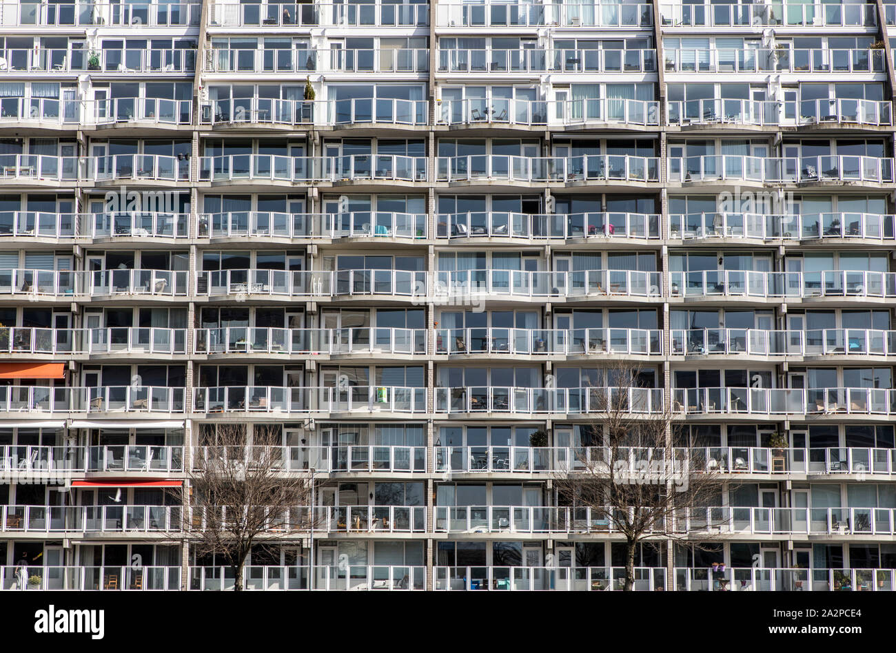 Casa residenziale, apartment house, facciata consiste di balconi, con vetri, Rotterdam, Paesi Bassi Foto Stock