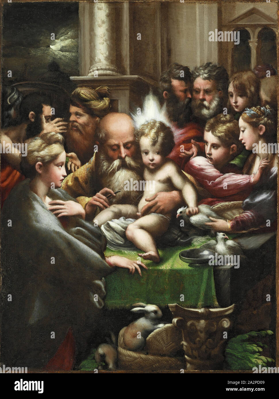 Parmigianino, Italiano, 1503-1540, la circoncisione, ca. 1523 olio su pannello in legno, senza cornice: 16 1/2 × 12 3/8 pollici (41,9 × 31,4 cm Foto Stock Parmigianino, Italiano, 1503-1540, la circoncisione, ca. 1523 olio su pannello in legno, senza cornice: 16 1/2 × 12 3/8 pollici (41,9 × 31,4 cm Foto Stock