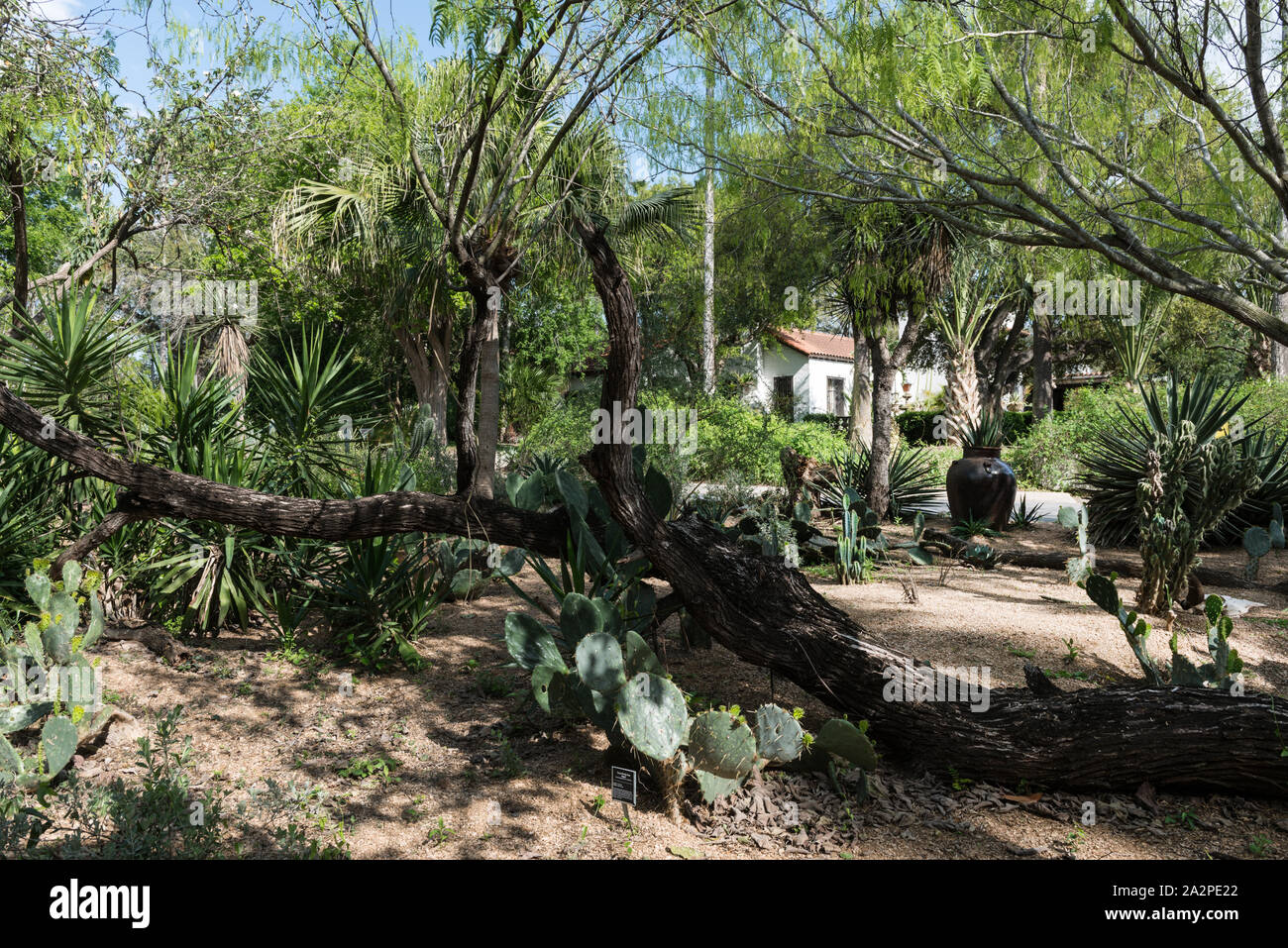 Quinta Mazatlan, una storica adobe mansion entro una natura e birdwatching center di McAllen, Texas Foto Stock