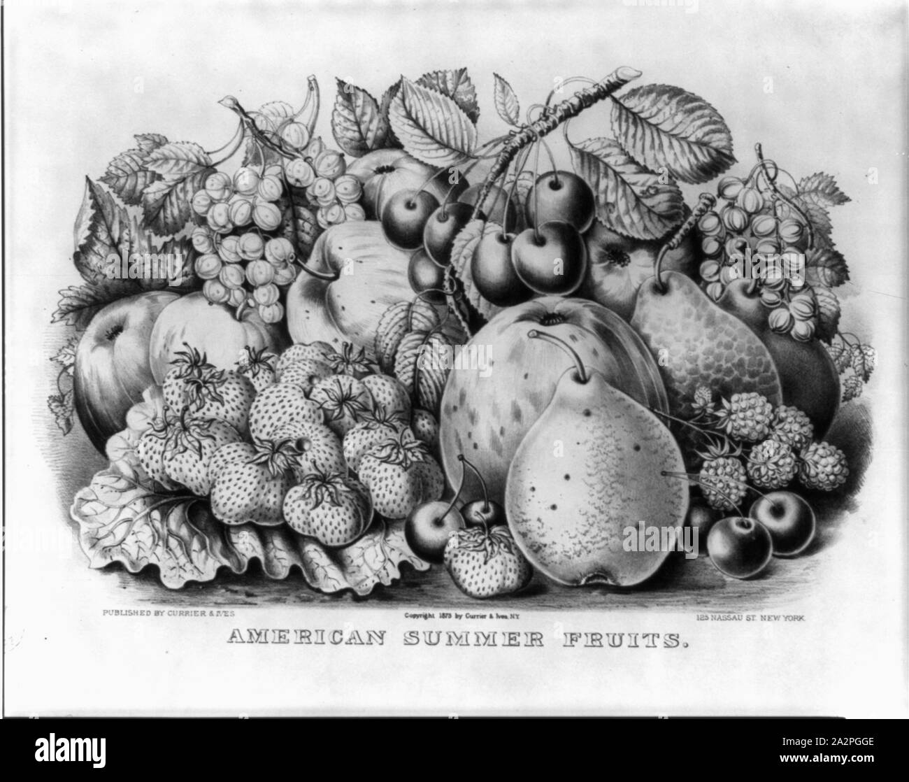 R. Malcom, Saddler, Toronto, Canada Foto Stock