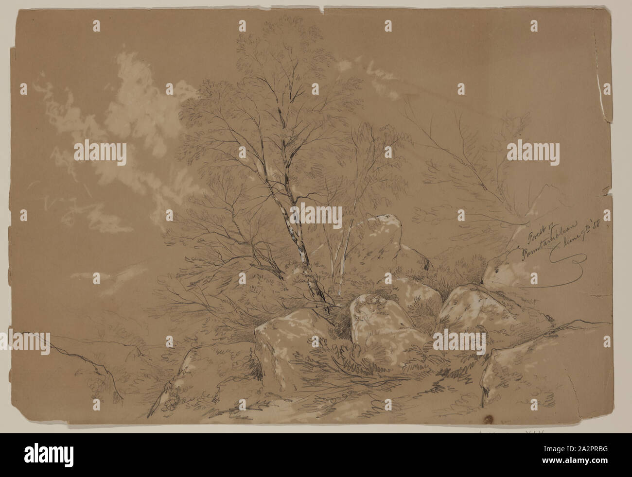John W. Casilear, Americano, 1811-1893, foresta di Fontainebleau, Giugno 9th, 1858, 1858, grafite intensificato con goauche bianco su carta, foglio: 10 × 14 1/4 pollici (25,4 × 36,2 cm Foto Stock