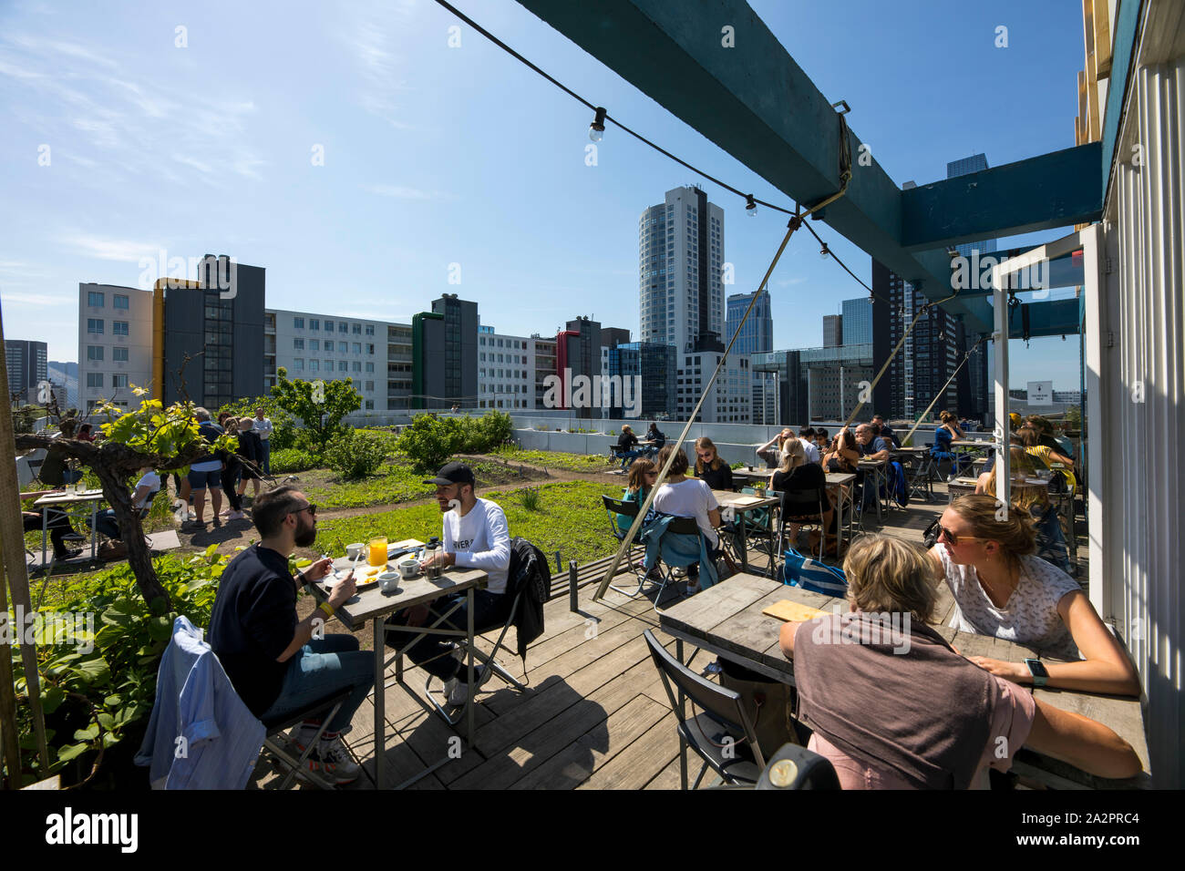 Schieblock, un ex edificio per uffici nel centro di Rotterdam, Paesi Bassi, è ora utilizzato da molte aziende innovative, start-ups, co-spazi di lavoro, tetto Foto Stock