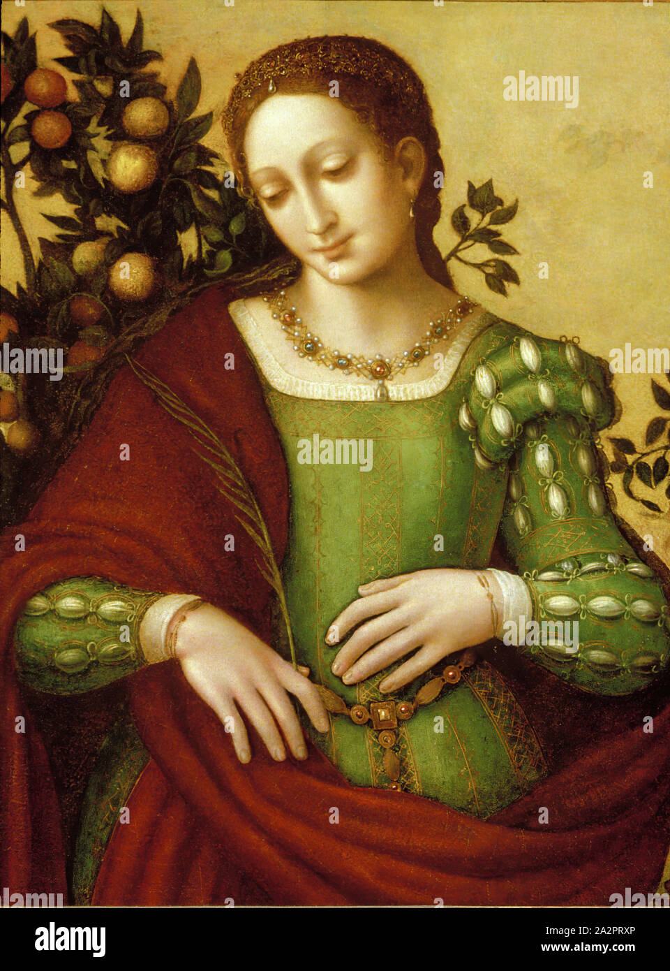 Francesco Melzi, Italiano, 1493-1570, Femmina Saint, c. 1530, vernice su pannello in legno, senza cornice: 25 1/2 × 19 1/8 pollici (64,8 × 48,6 cm Foto Stock Francesco Melzi, Italiano, 1493-1570, Femmina Saint, c. 1530, vernice su pannello in legno, senza cornice: 25 1/2 × 19 1/8 pollici (64,8 × 48,6 cm Foto Stock