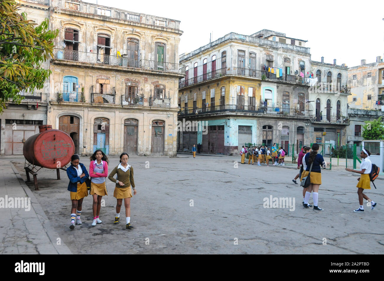 Scuola cubana ragazze, Plaza del Cristo, Havana, Cuba Foto Stock