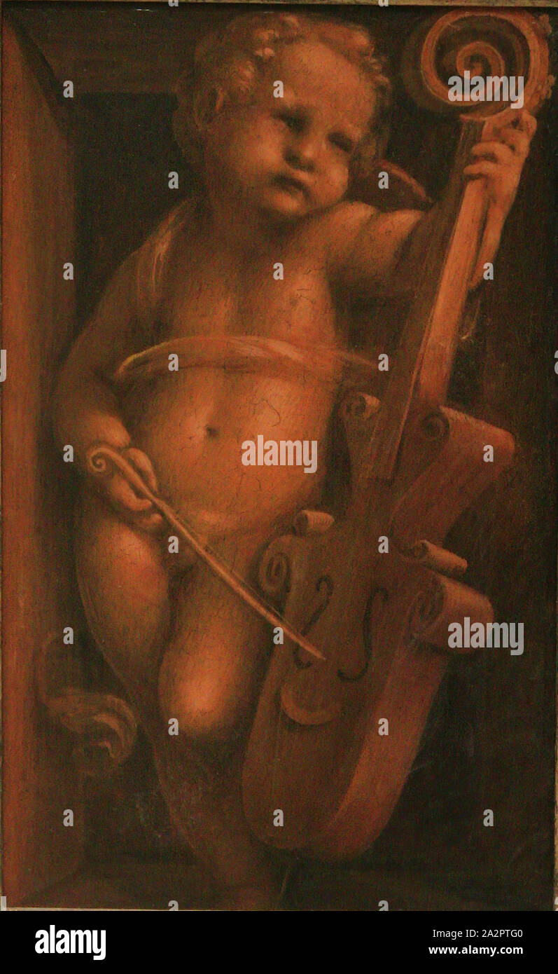 Gaudenzio Ferrari, Italiano, 1470-1546, bambino con un vioi, 15th/XVI secolo, vernice su pannello in legno, senza cornice: 17 7/8 × 11 pollici (45,4 × 27,9 cm Foto Stock Gaudenzio Ferrari, Italiano, 1470-1546, bambino con un vioi, 15th/XVI secolo, vernice su pannello in legno, senza cornice: 17 7/8 × 11 pollici (45,4 × 27,9 cm Foto Stock