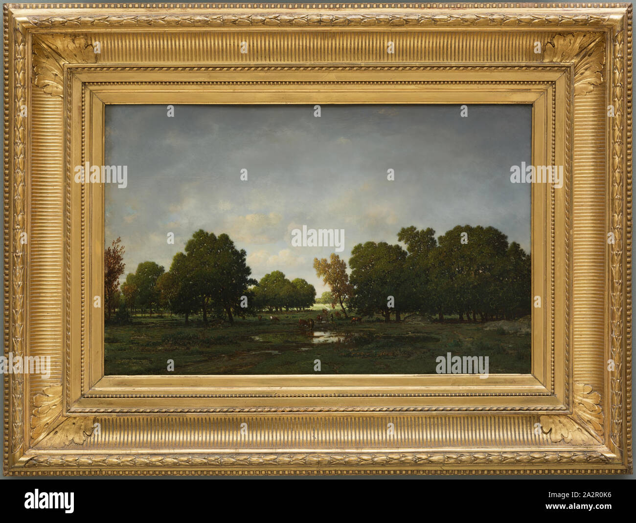 Théodore Rousseau, Francese, 1812-1867, la foresta di Fontainebleau, tra 1812 e 1867, olio su pannello in legno, senza cornice: 16 1/8 × 25 cm (41 × 63,5 cm Foto Stock Théodore Rousseau, Francese, 1812-1867, la foresta di Fontainebleau, tra 1812 e 1867, olio su pannello in legno, senza cornice: 16 1/8 × 25 cm (41 × 63,5 cm Foto Stock