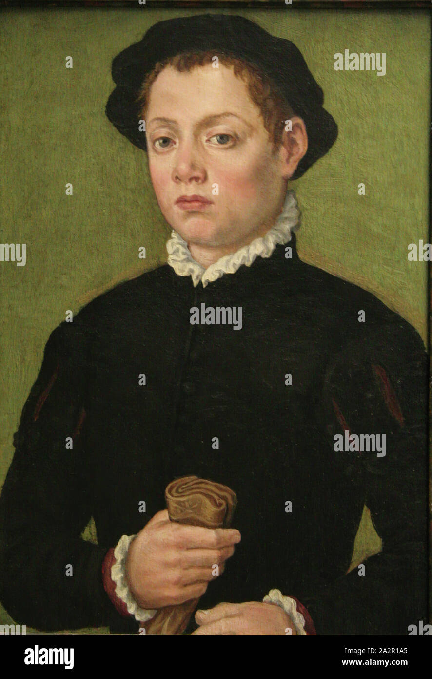 Sofonisba Anguissola, Italiano, 1527-1626, giovane uomo, 16th/xvii secolo, olio su pannello in legno, senza cornice: 17 × 12 1/8 pollici (43,2 × 30,8 cm Foto Stock Sofonisba Anguissola, Italiano, 1527-1626, giovane uomo, 16th/xvii secolo, olio su pannello in legno, senza cornice: 17 × 12 1/8 pollici (43,2 × 30,8 cm Foto Stock