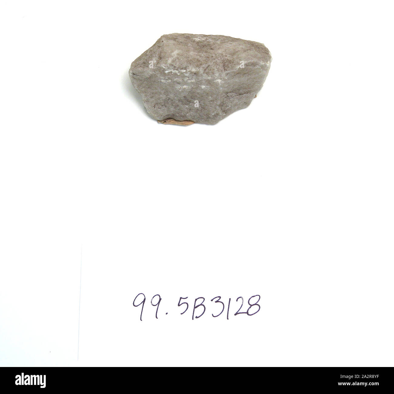 Europeo, campione di roccia, Porphyritic calcare (marmo italiano), 2 1/8 x 1 1/2 x 7/8 in Foto Stock