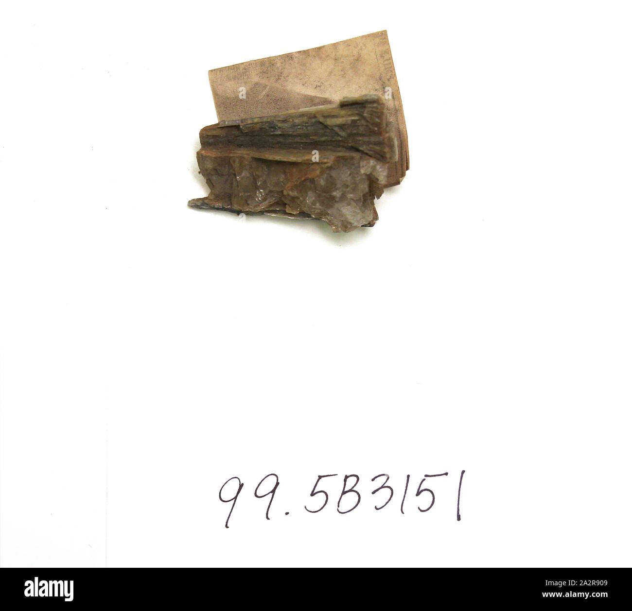 Europeo, campione di roccia, Disthene(cianite), 2 x 15/16 x 3/4 in Foto Stock