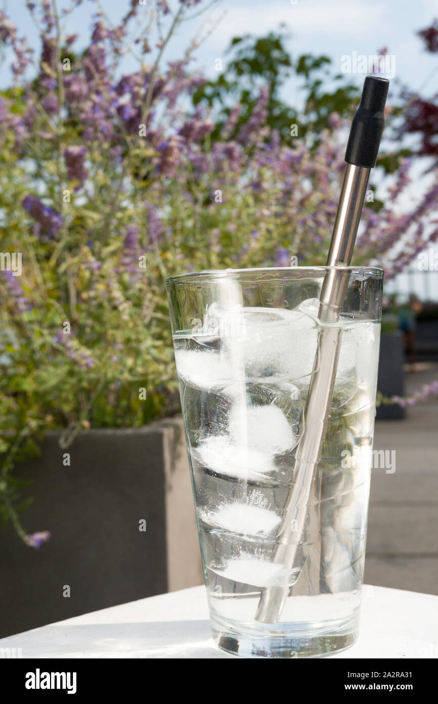 Inossidabile riutilizzabili in plastica acciaio libero cannuccia in uso in un bicchiere di acqua, STATI UNITI D'AMERICA Foto Stock