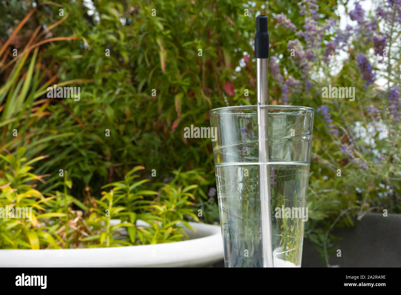 Riutilizzabili in plastica inox acciaio privo di paglia in uso in un bicchiere di acqua, STATI UNITI D'AMERICA Foto Stock