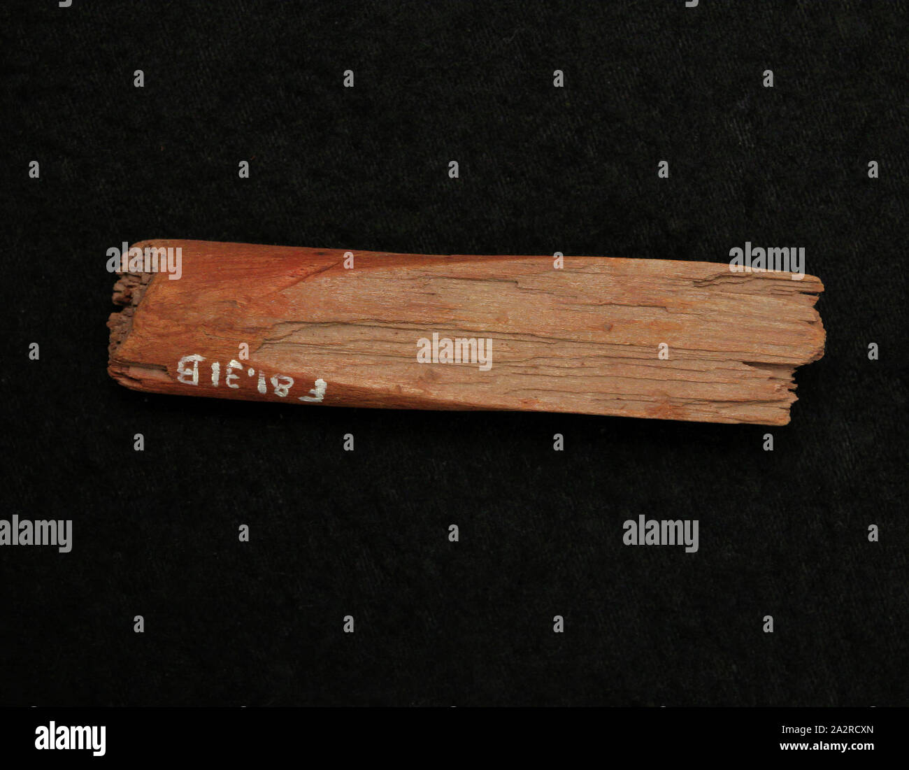 Egiziano, Stick frammento, 1800/1700 BC, legno, 3 1/2 in Foto Stock